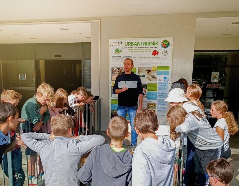 Urbani ribnik akvaponika delavnice za otroke in dijakeUrbani ribnik akvaponika delavnice za otroke in dijake Mladinsko zdravilišče Debeli rtič